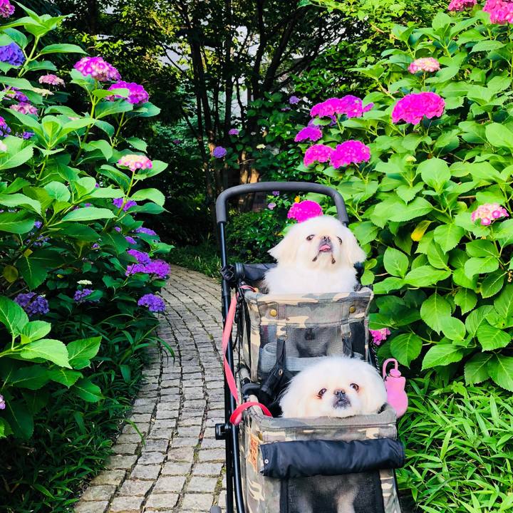 Acdf3cd6 cc66 46b7 b131 67ed6025ffa6 1591737132299