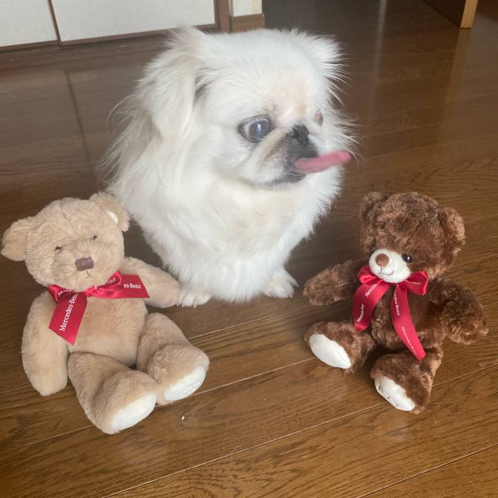 Acdf4ad7 5b6e 4252 a9d8 9432f1038373 1661400265658