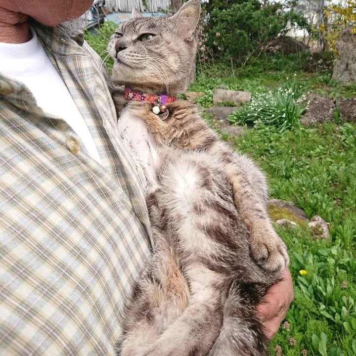 Acdf4f03 34d4 495d a220 bb0792546d76 1588568373253