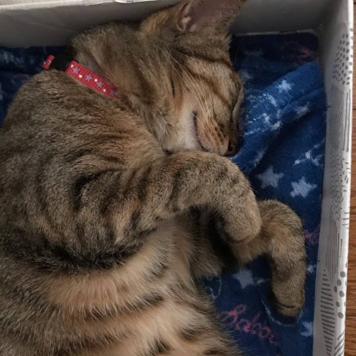 Acdf6e68 3e59 4ca0 8234 61ce11c2ca42 1590325137265