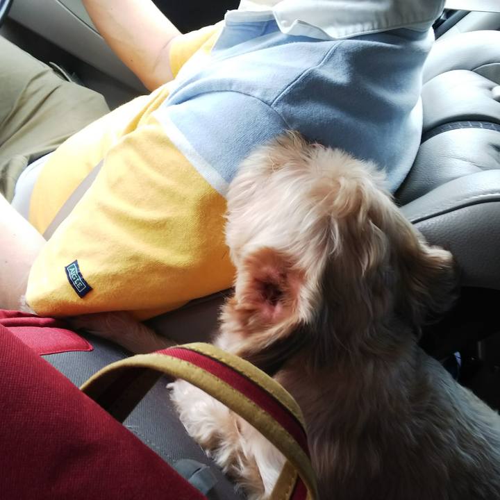 Ace01790 bf40 412b 9518 e8e6c33c57fb 1535002864724