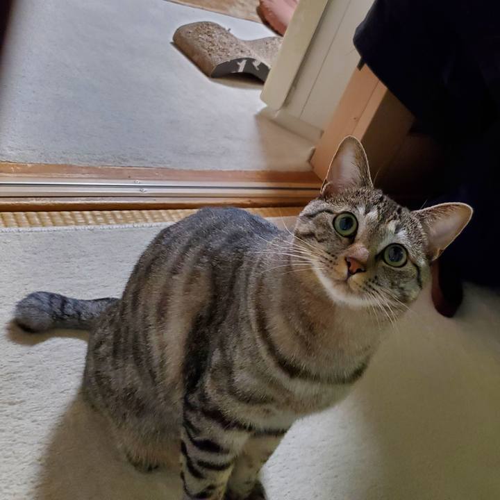 Ace05023 2654 40da bf19 e434c280f248 1711199366627