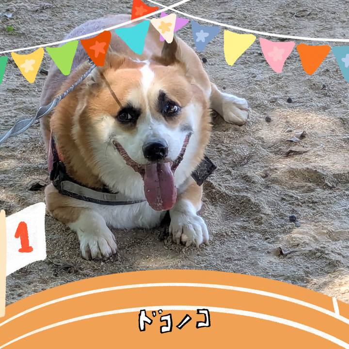 Ace06d10 1439 479b b086 908ddc9f19ac 1761143941205