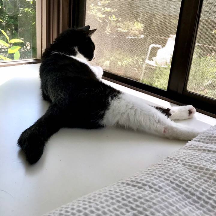 Ace06d77 fdda 4f42 9074 d925e25a1387 1558491187267