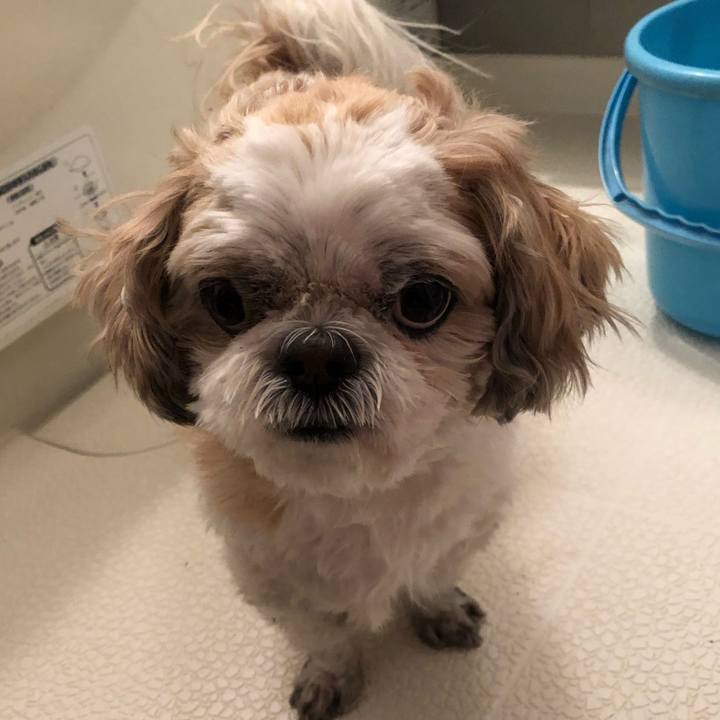 Ace09072 e515 41ef 9010 356fcc571fb4 1581284700421