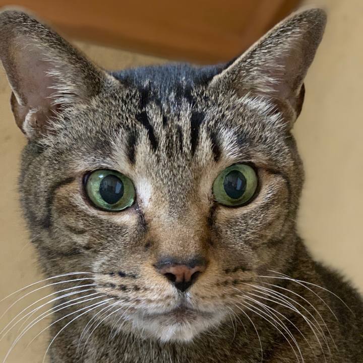 Ace09f14 0596 4282 a99c f235e79ff9a4 1545183162529