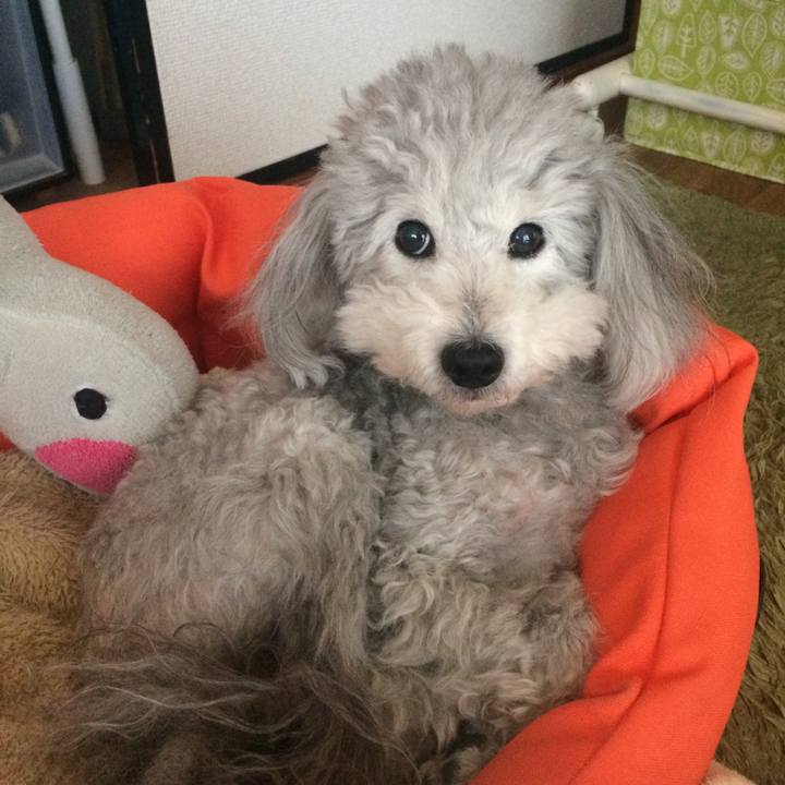 Ace0d05d 7f39 424a 9c47 728fbd168e07 1517959364608