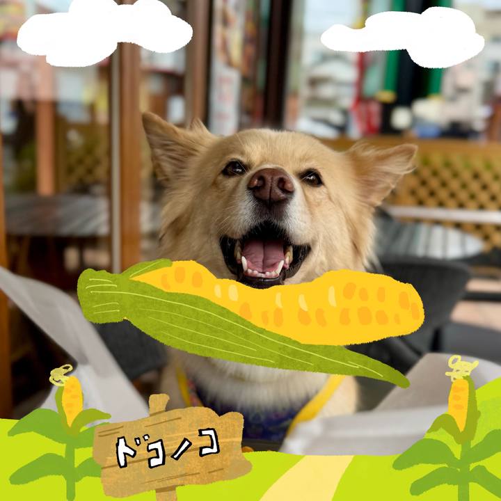 Ace0d543 8bb1 47af b1da 7a4ce2f17585 1786928597085
