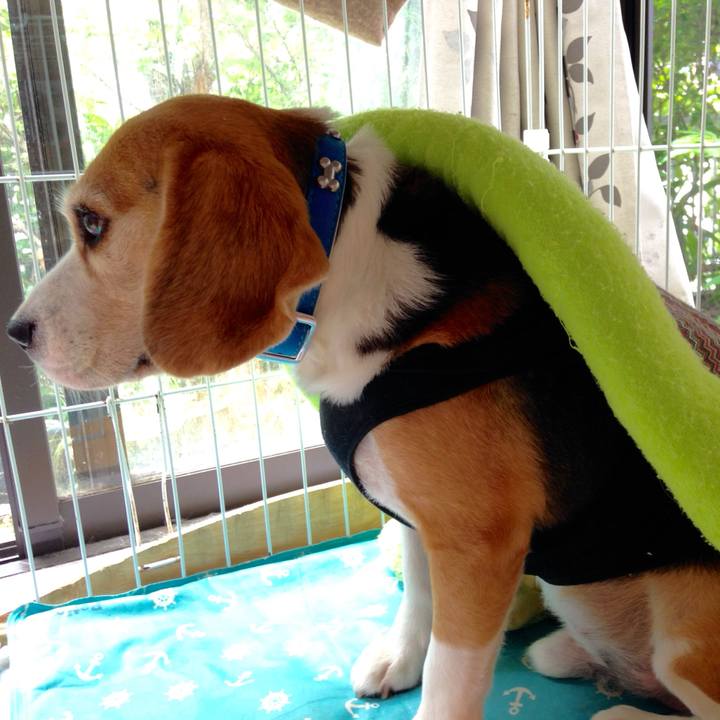 Ace111a0 476d 4234 a372 04eef4c55524 1753184904157