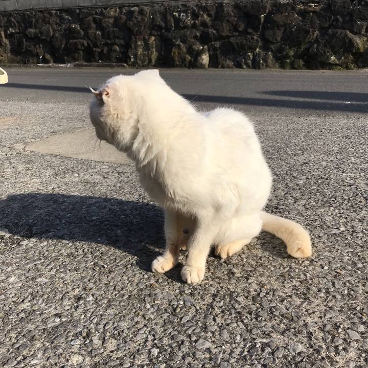 Ace1380b 5796 4ae4 b150 850e7e7de6e8 1555796277027