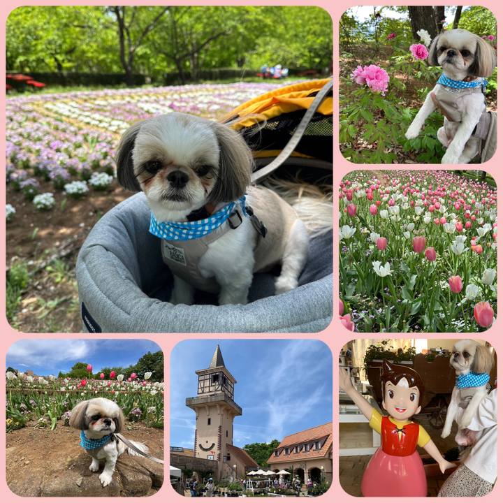 Ace188cd 2c10 4b7c 8c6f d715ba962eea 1683422439731