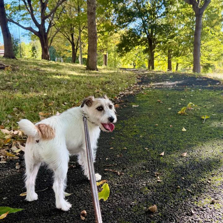 Ace18bc6 818e 4e64 aed9 633ef02a9e16 1762002435596