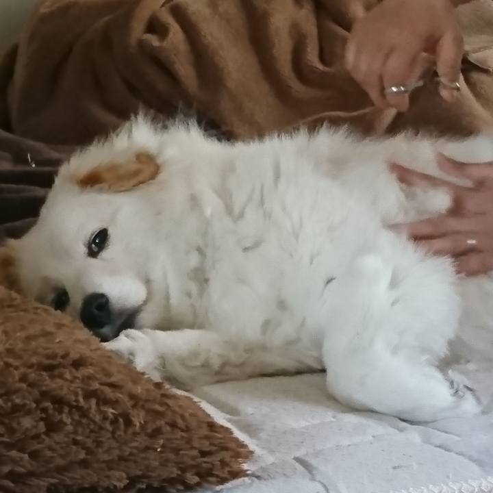 Ace1c088 ffd9 49fb 8103 5bfb6c67a851 1524959132110