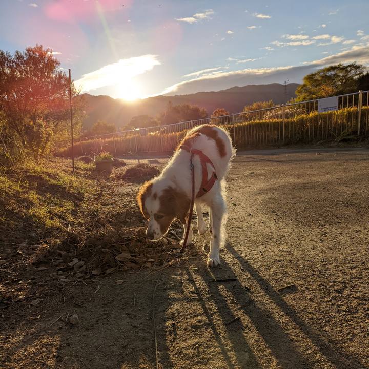 Ace1daf8 59b2 44ff 8d4a 748f7e85bf0b 1638000746232