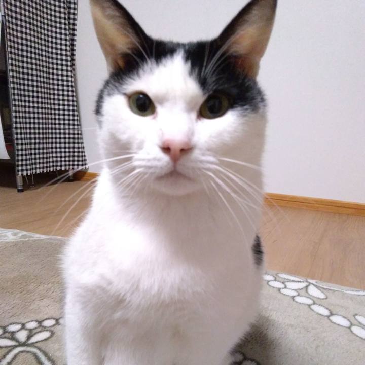 Ace213a9 a0cd 448c 8369 e78c76dacac7 1517655802575