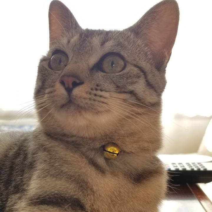 Ace213f7 9204 4c36 9492 1187780f161f 1677666791019