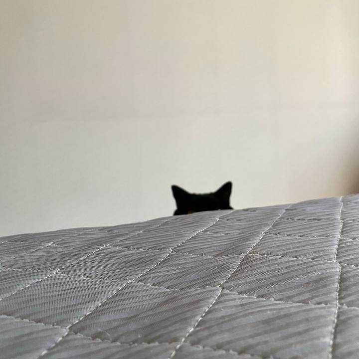 Ace2206c 4836 4bf0 9b63 4fbf2ec5720e 1727735884205