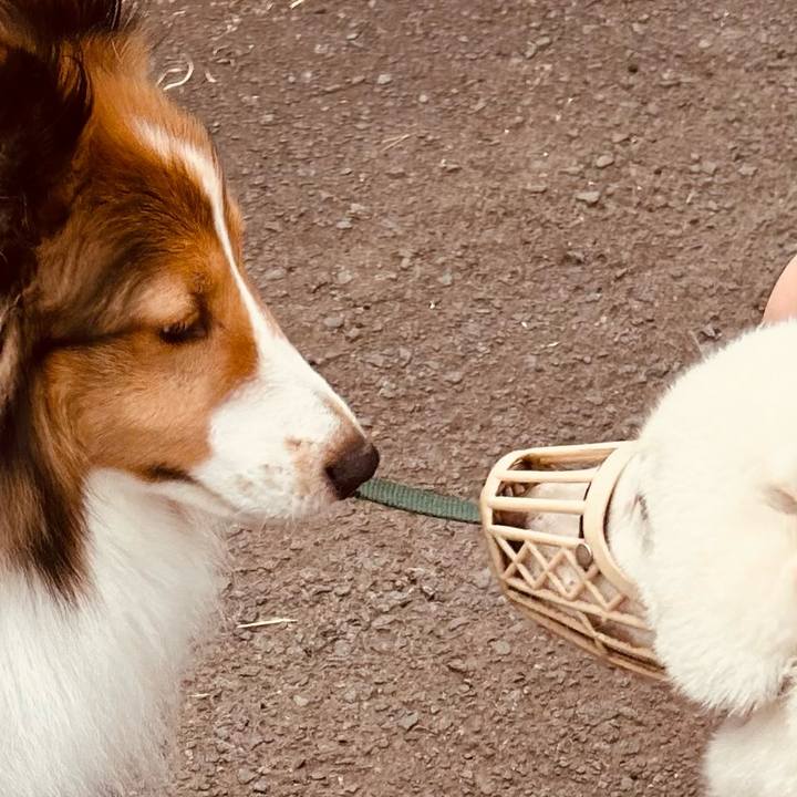 Ace276d6 2f3d 4650 b261 9842f985224e 1752441379124