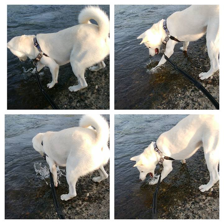 Ace2cabd 4410 4edc 825d fefa72ce8e93 1531620139464