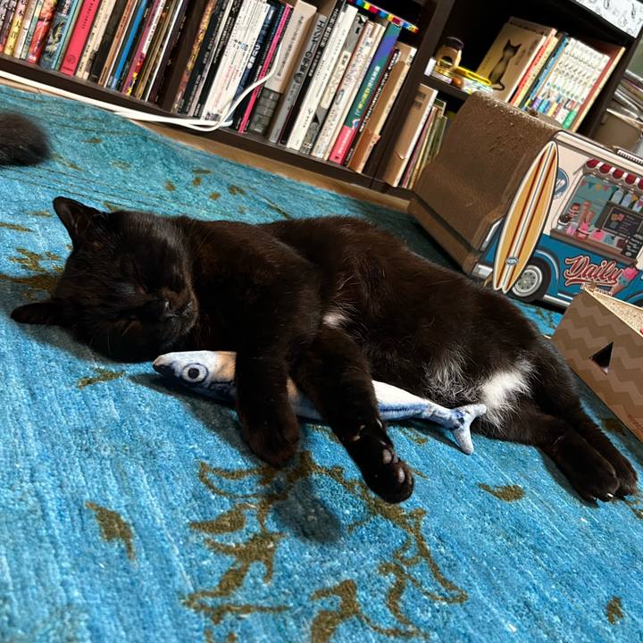 Ace2dcbc 932c 4fa6 b887 b08526b476ed 1745039079392