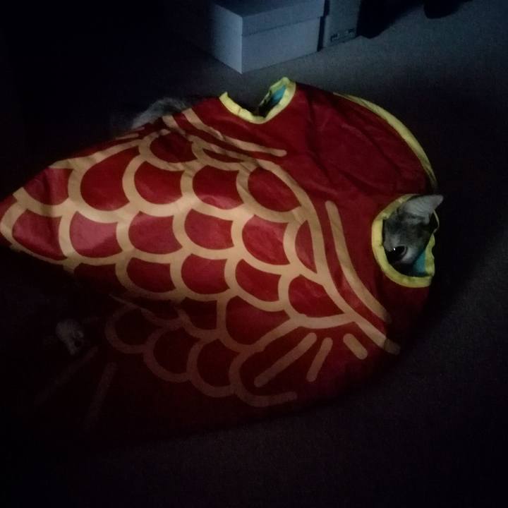 Ace2e508 7ec1 49c6 a439 61f35d431698 1511015069828