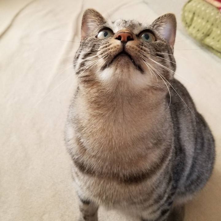 Ace31712 b151 4b06 8014 42bdb3b5c9af 1692153623635