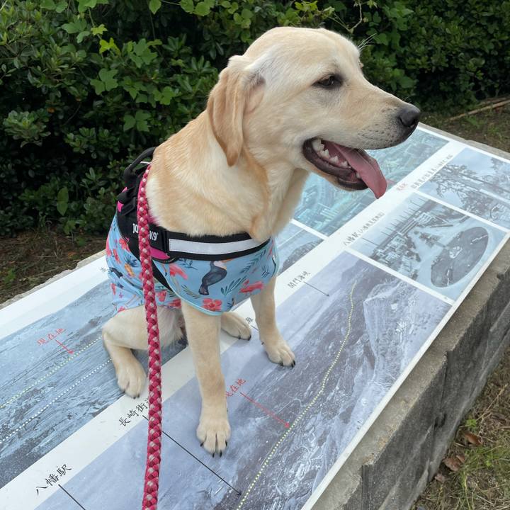 Ace366e5 ce59 4509 bf6b c479976d11bc 1622189016284