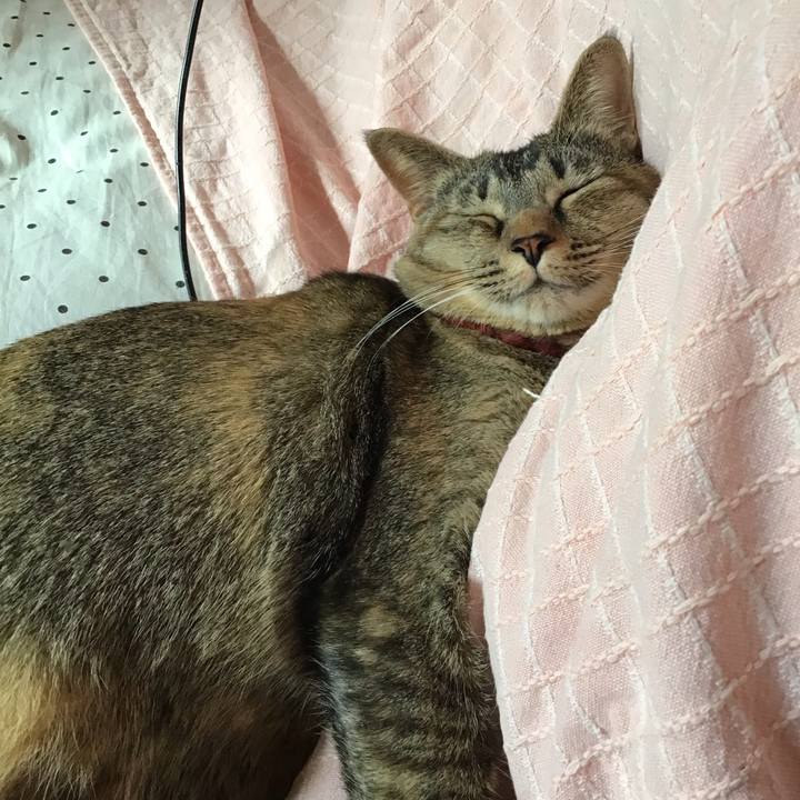 Ace3bbf4 420e 4943 ac43 9e85880b6938 1636342859905