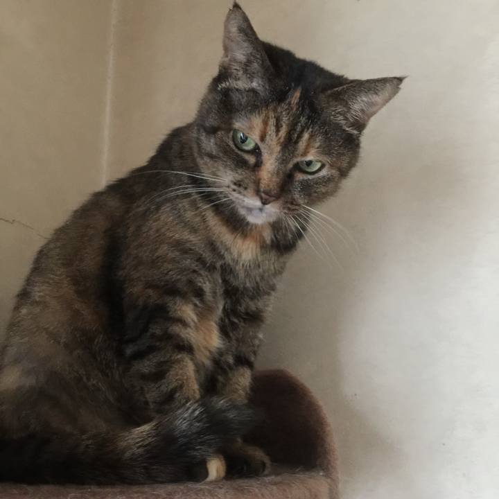 Ace3cc47 2ee6 4d90 91ed 9a3a8c7b2ce9 1726879376398