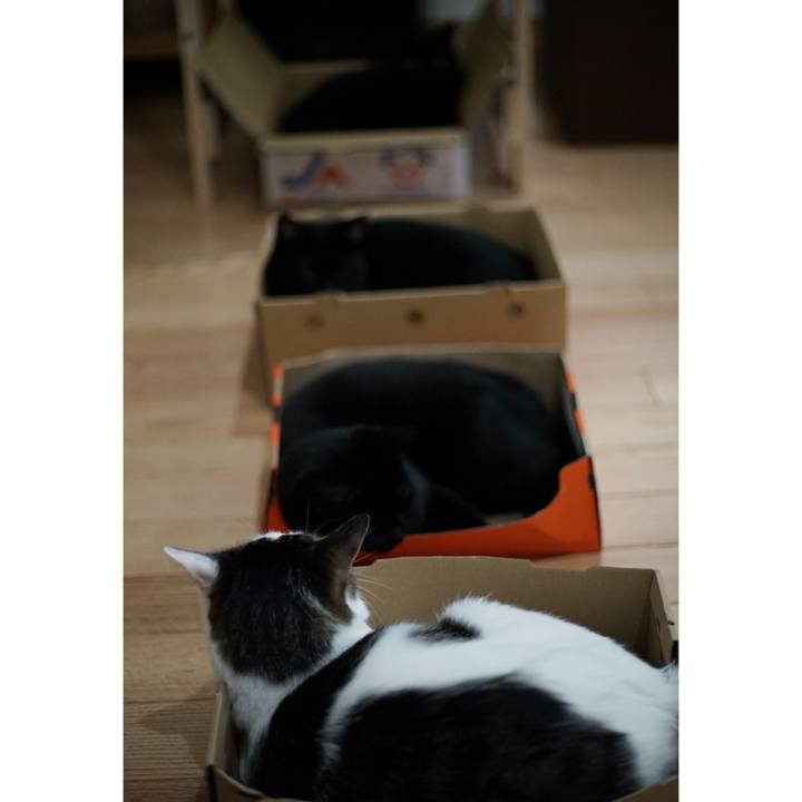 Ace3fda0 1c1e 4e9e 8a03 3e6797f3f5d4 1526599693415