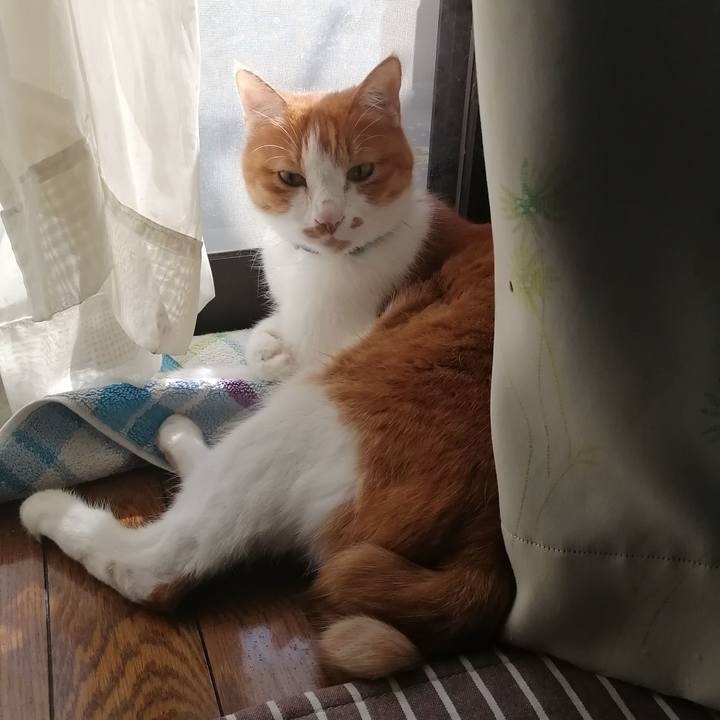 Ace40de1 9963 4ade 9148 76eae0042c82 1602996400733