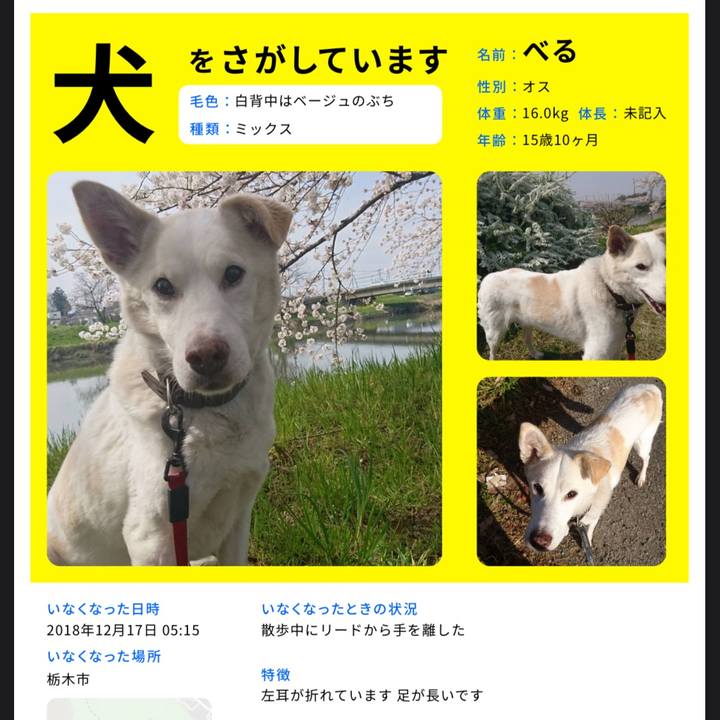 Ace413cb 39d7 4a98 942a 1b3f386bed84 1570341197091