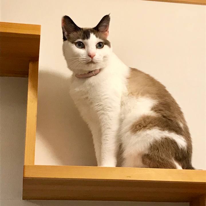 Ace476bc 3329 44ed 8b0b 9e93868432bd 1537930654360