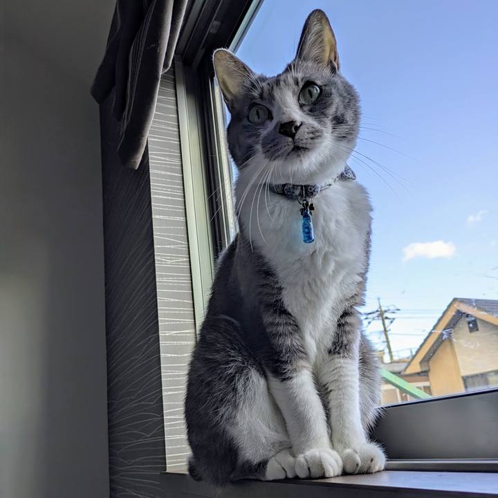 Ace48dcc 88dd 4c69 a5e8 646a59b6c333 1761524802168