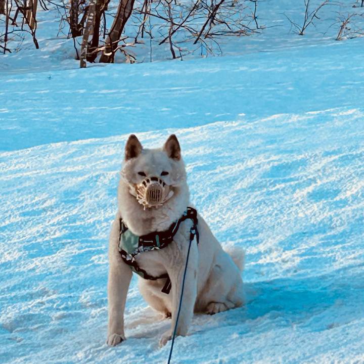 Ace4914d efe8 4e6b b3bf ad5f70566a1d 1743200183540