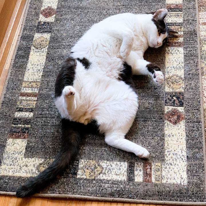 Ace49529 1283 4bc5 80fa d1259a798501 1593998367204