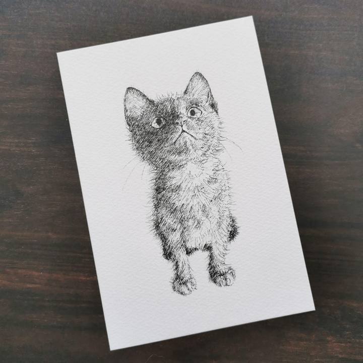 Ace4b449 7754 40c8 b2e0 3d8f274afd18 1692801235895