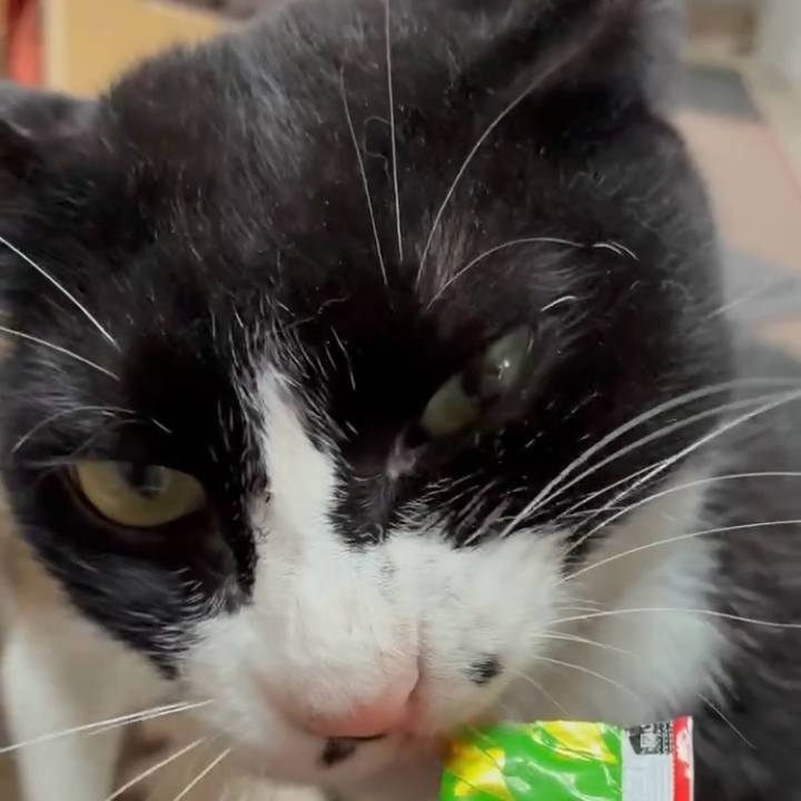 Ace4fc28 973f 4697 a951 9f20eef450f2 1750474492751