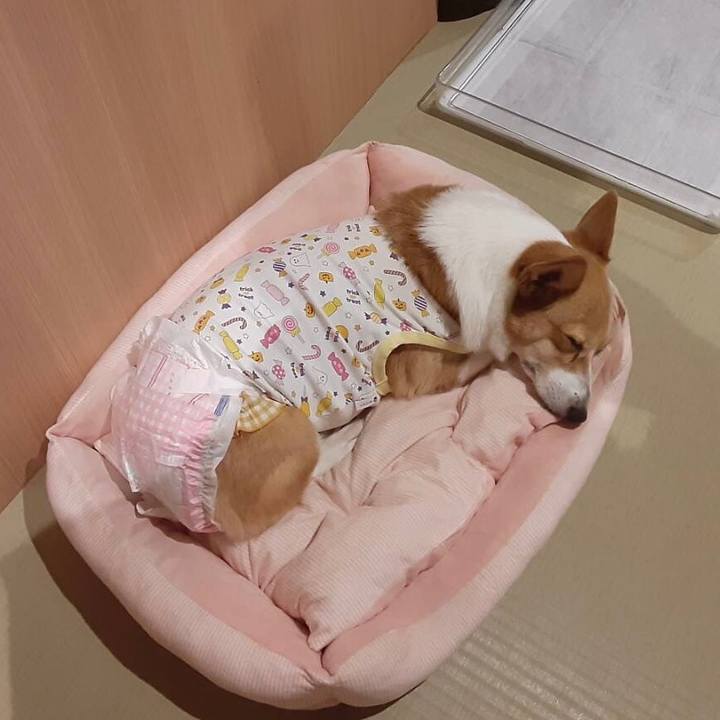 Ace540e2 7910 43cf 986a 576a86ab0a48 1698414735094