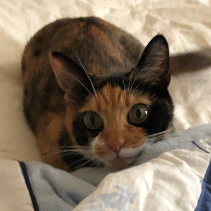 Ace5619d 1e62 4592 9e1d da774026a107 1533702195694