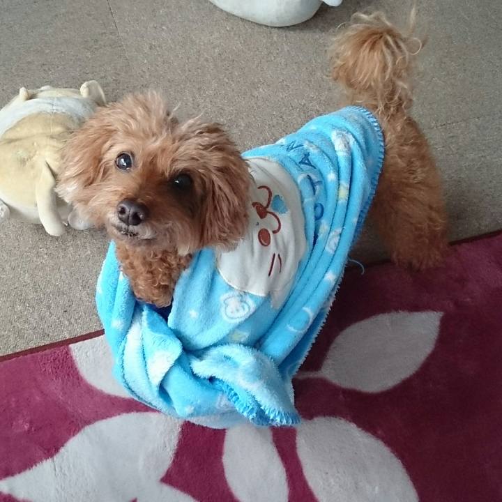 Ace57451 1a68 4fbf b78f e95d2c016e8f 1515243172745