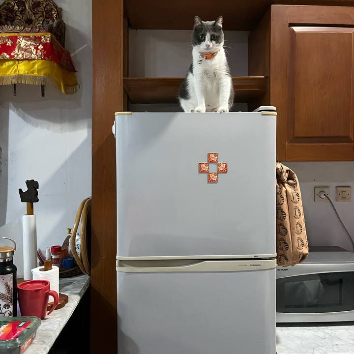 Ace588e7 fdff 4808 8014 4b546071ab92 1766139407510