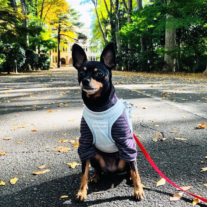 Ace5bbe8 a3fe 43c7 b29d f0750b9746e1 1762589961043