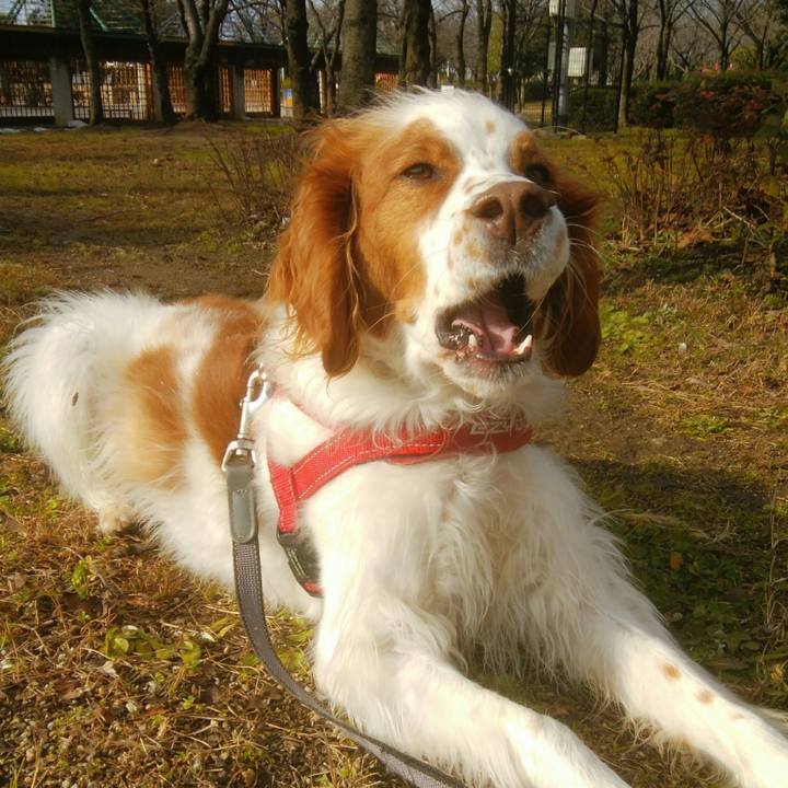 Ace5c614 88a9 4b07 8964 58af0566dd1f 1549455069864