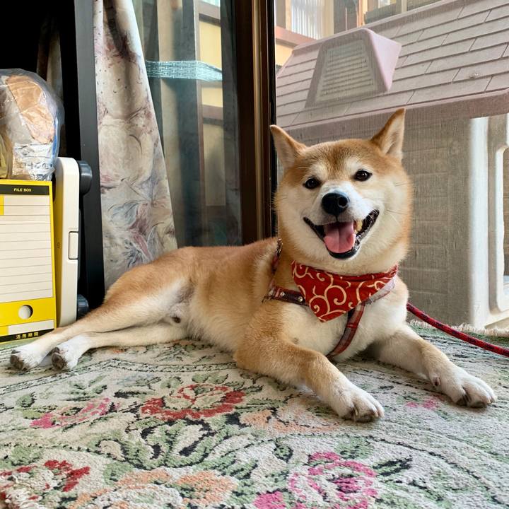 Ace5e342 0235 4792 a063 7e57ee9246c0 1570536447435