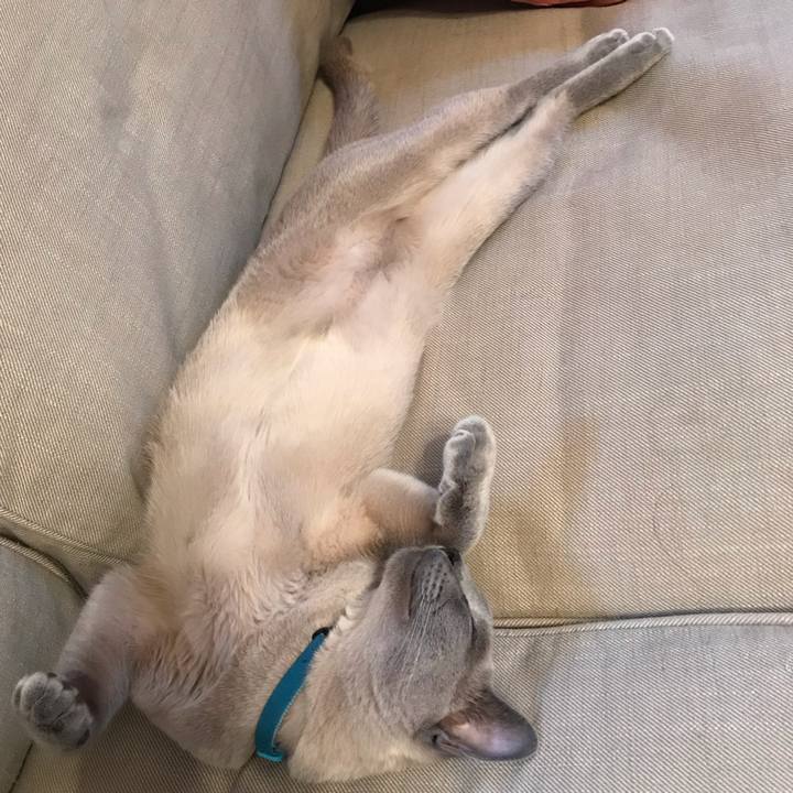 Ace5f71c 014e 4a43 a60c c8c5d75a176c 1558870267894