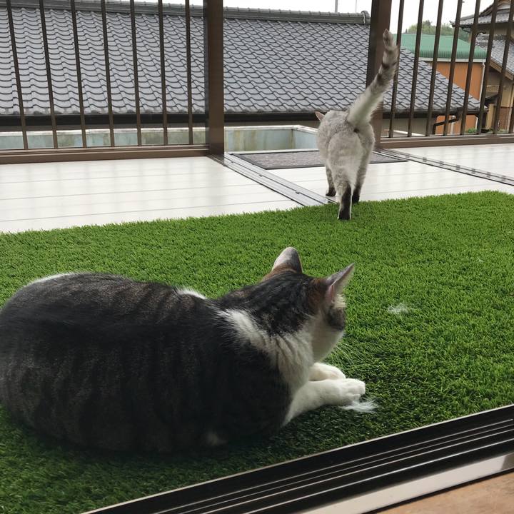 Ace616d5 3598 4387 b851 8c46e33c5d05 1530965608450