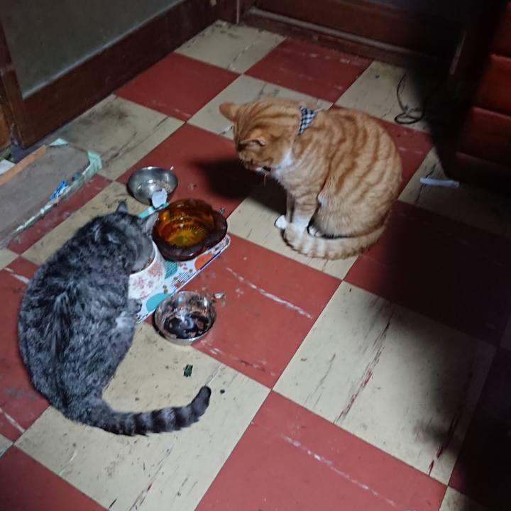 Ace659d3 64bb 4b1e b177 462a4efc013d 1575277240970