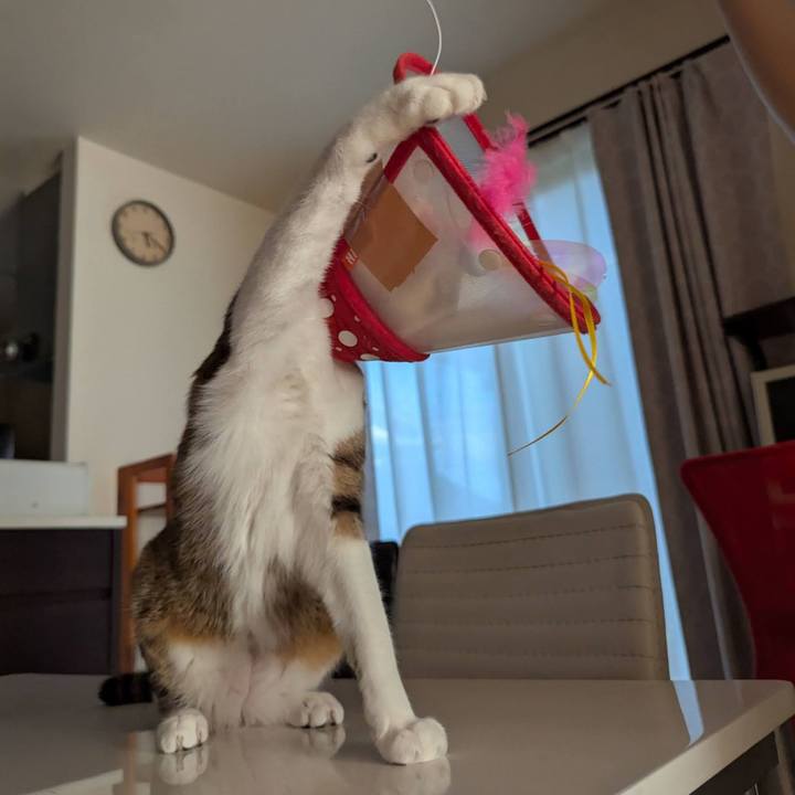 Ace66a67 aa89 43bd 9014 632a07deaada 1754301982977