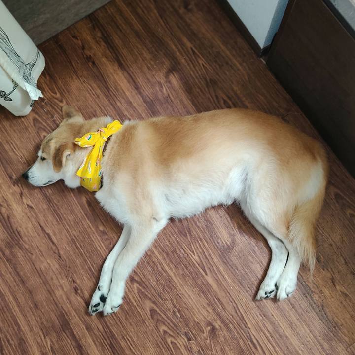 Ace6a8fa 9db8 4a9f ac5c c5902c049e0b 1626661648490